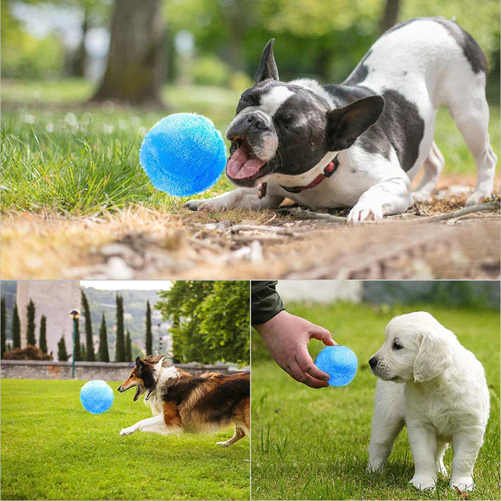 bevegelig hundeball I Alle hunder elsker dette!